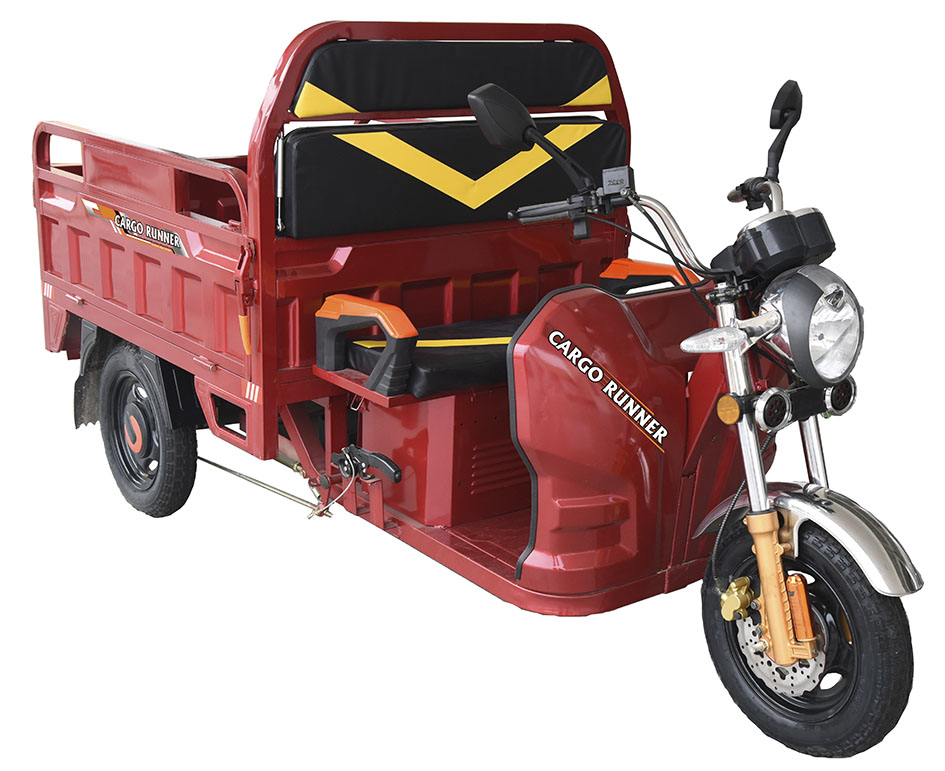 Cargo Runner der ElektroLastentransporter von Schmitt